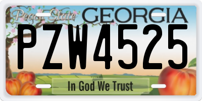 GA license plate PZW4525