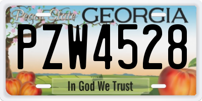 GA license plate PZW4528