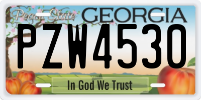 GA license plate PZW4530