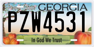 GA license plate PZW4531