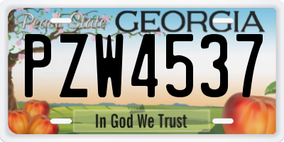 GA license plate PZW4537