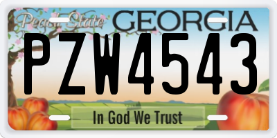 GA license plate PZW4543