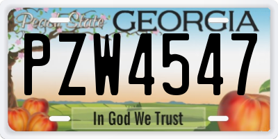 GA license plate PZW4547