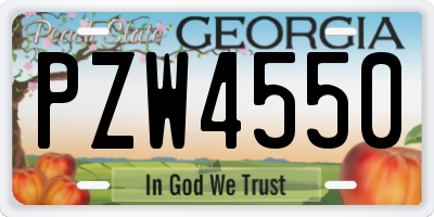 GA license plate PZW4550