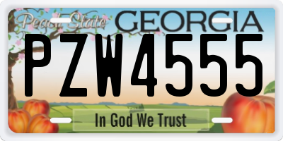 GA license plate PZW4555