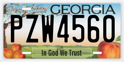 GA license plate PZW4560