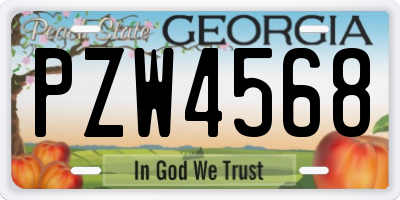 GA license plate PZW4568
