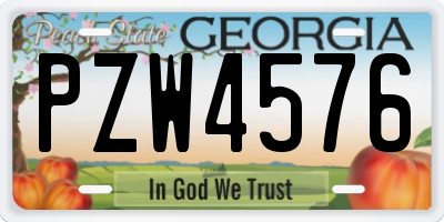GA license plate PZW4576