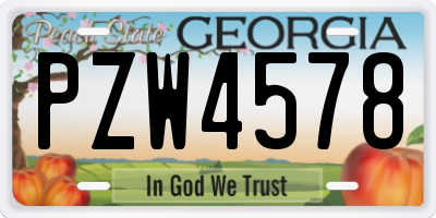 GA license plate PZW4578