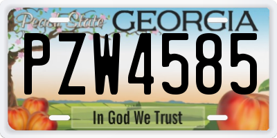 GA license plate PZW4585