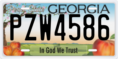 GA license plate PZW4586