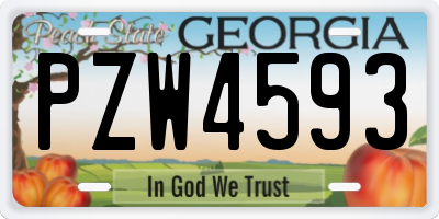 GA license plate PZW4593