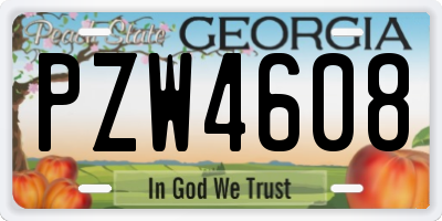 GA license plate PZW4608
