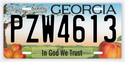 GA license plate PZW4613