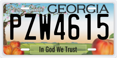 GA license plate PZW4615