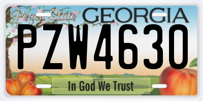 GA license plate PZW4630