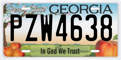 GA license plate PZW4638