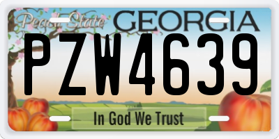 GA license plate PZW4639