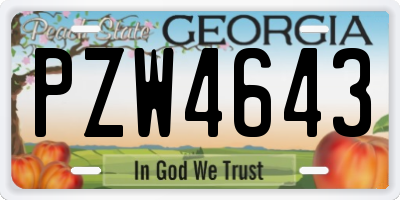 GA license plate PZW4643