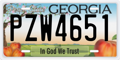 GA license plate PZW4651