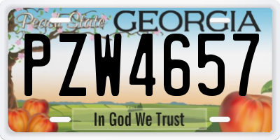 GA license plate PZW4657