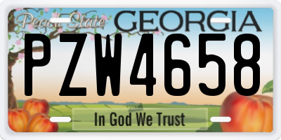 GA license plate PZW4658