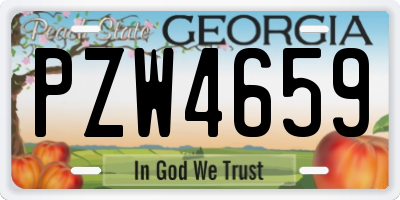 GA license plate PZW4659