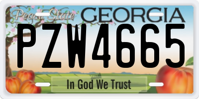 GA license plate PZW4665