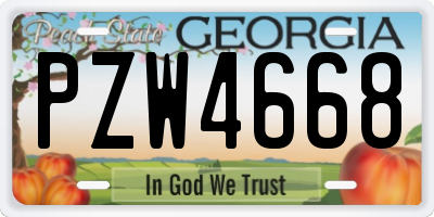 GA license plate PZW4668