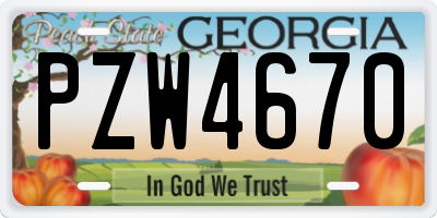 GA license plate PZW4670