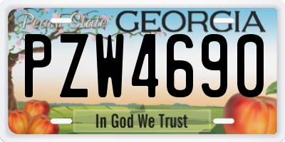 GA license plate PZW4690