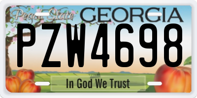 GA license plate PZW4698