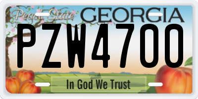 GA license plate PZW4700