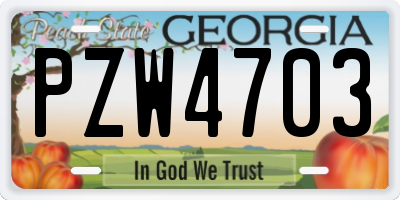 GA license plate PZW4703