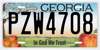 GA license plate PZW4708