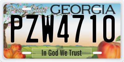 GA license plate PZW4710