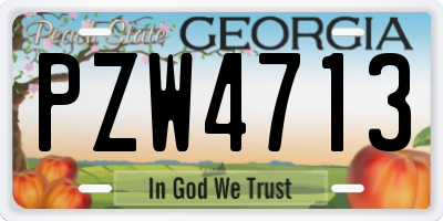 GA license plate PZW4713