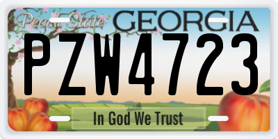 GA license plate PZW4723
