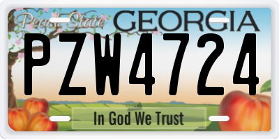 GA license plate PZW4724
