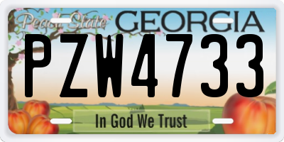 GA license plate PZW4733