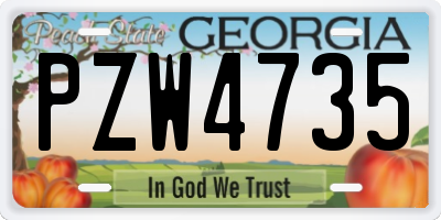 GA license plate PZW4735