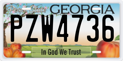 GA license plate PZW4736