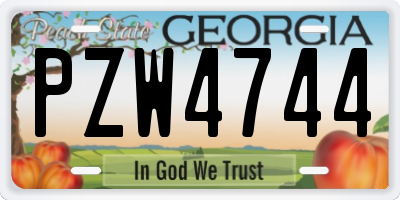 GA license plate PZW4744