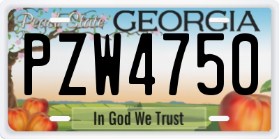 GA license plate PZW4750