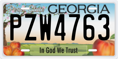 GA license plate PZW4763