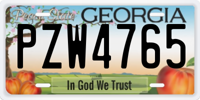 GA license plate PZW4765