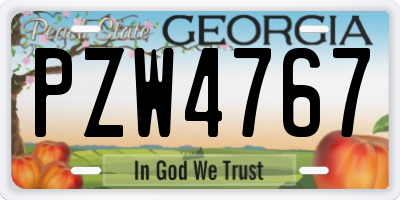 GA license plate PZW4767