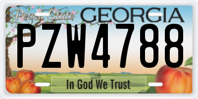 GA license plate PZW4788
