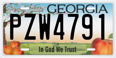 GA license plate PZW4791