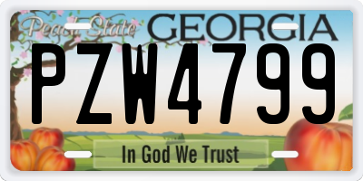 GA license plate PZW4799